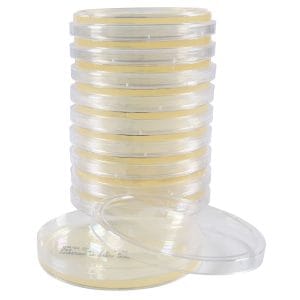 Tryptic Soy Agar (TSA), USP - Pre-poured Ready Agar Plates 100/pack